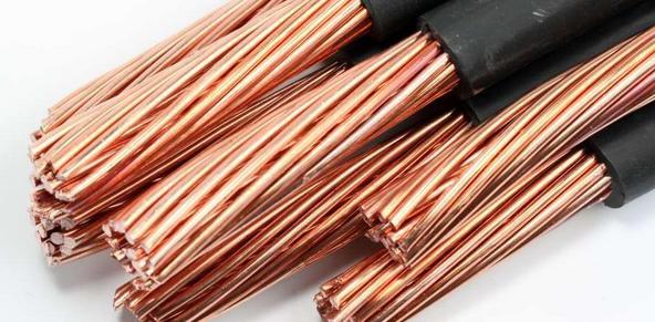 辽宁公布2022民生领域案件查办“铁拳”行动典型案例