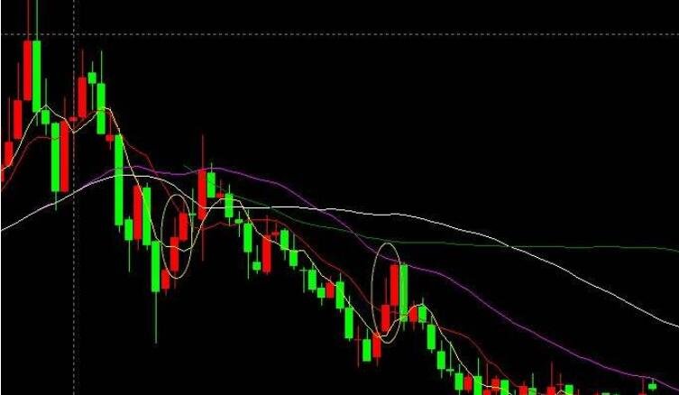 新股前瞻｜卧龙电驱的“双轨战略”解析：从防爆电机到人形机器人关节