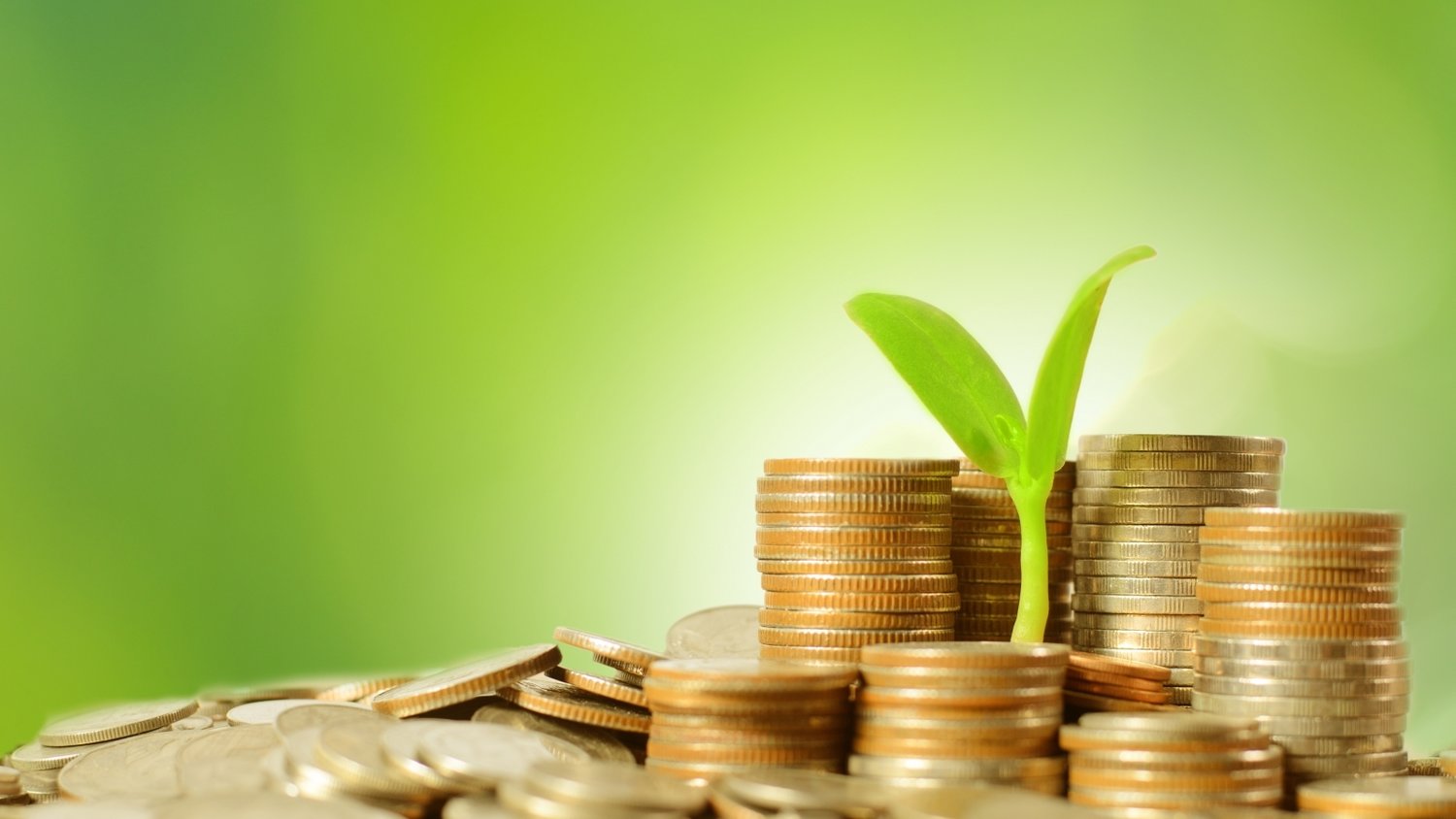 海南省市场监管局发布优化预包装食品生产日期和保质期标签标识倡议书